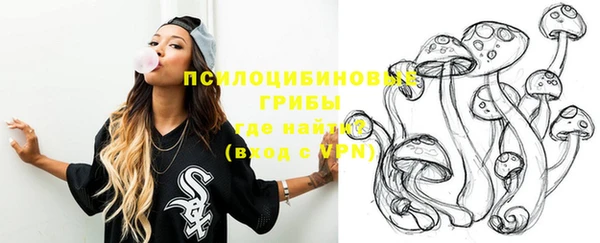 прущие крисы Балахна
