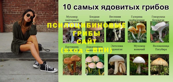 a pvp Арсеньев